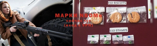 хмурый Алзамай