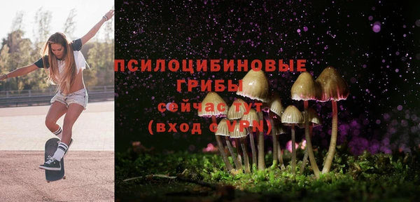 хмурый Алзамай