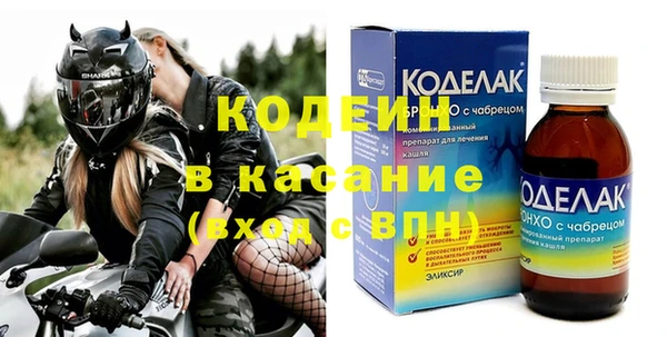 хмурый Алзамай